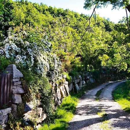 Casetta Nel Bosco Naturas Con Piscina Climatizzata Privata E Gratuita *