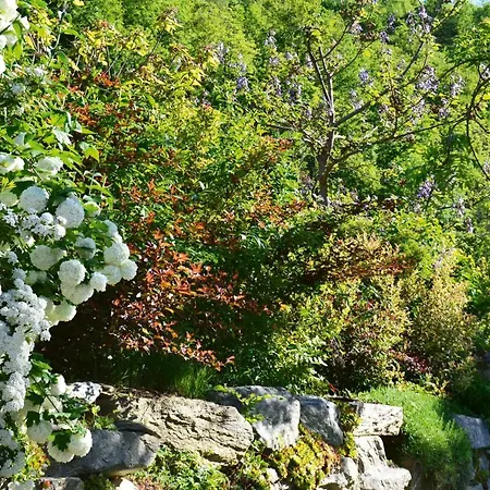 Casetta Nel Bosco Naturas Con Piscina Climatizzata Privata E Gratuita